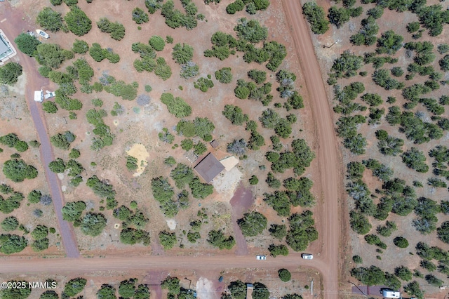 5541 N Juliane Dr, Williams, AZ 86046 - photo 30