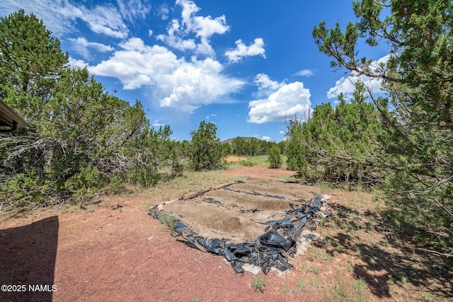 5541 N Juliane Dr, Williams, AZ 86046 - photo 10
