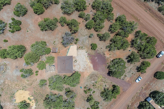 5541 N Juliane Dr, Williams, AZ 86046 - photo 29