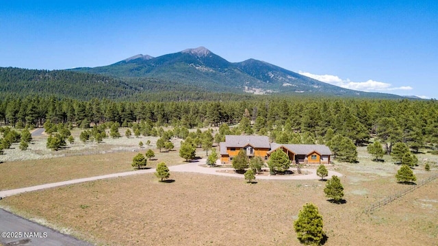 9178 N Snowbowl Ranch Rd, Flagstaff, AZ 86001 - view of mountain background with a heavily wooded area