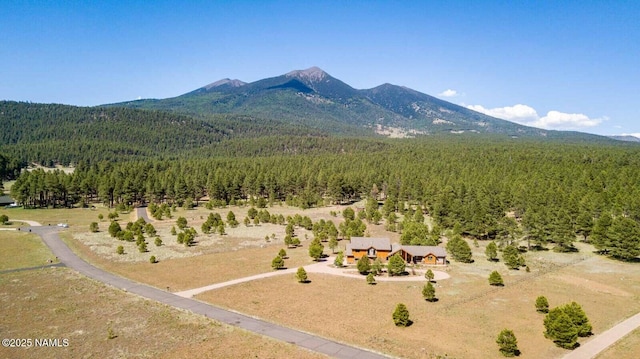 9178 N Snowbowl Ranch Rd, Flagstaff, AZ 86001 - view of subject property with a forest