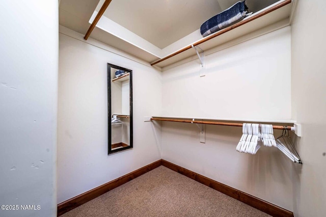 9178 N Snowbowl Ranch Rd, Flagstaff, AZ 86001 - walk in closet featuring carpet flooring
