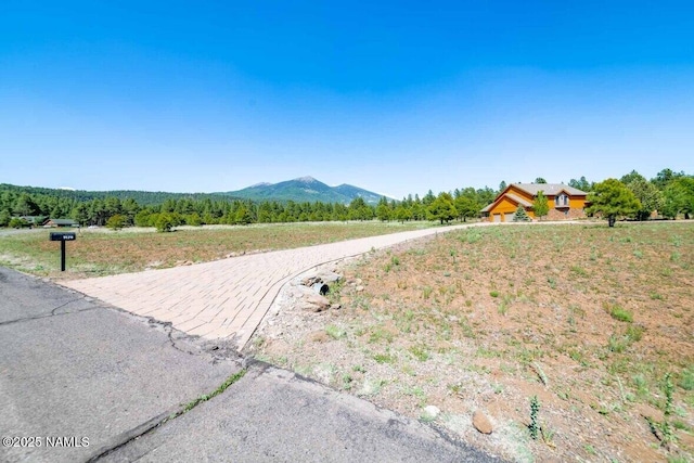 9178 N Snowbowl Ranch Rd, Flagstaff, AZ 86001 - view of yard with a mountain view
