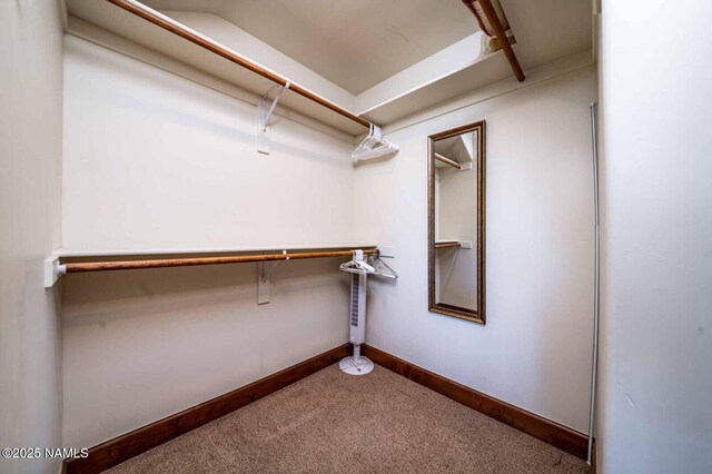 9178 N Snowbowl Ranch Rd, Flagstaff, AZ 86001 - spacious closet with carpet