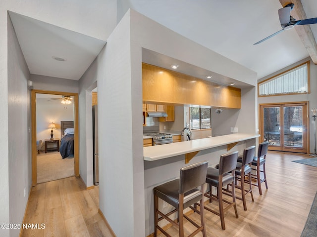 kitchen with light wood-type flooring, high end stainless steel range, ceiling fan, and a sink