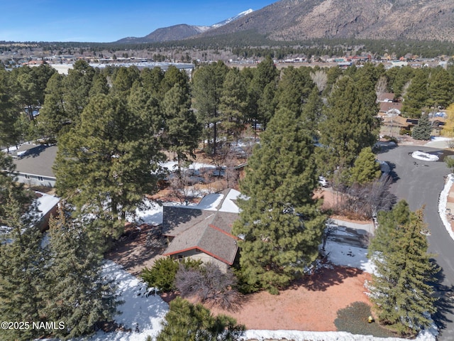 birds eye view of property featuring a mountain view