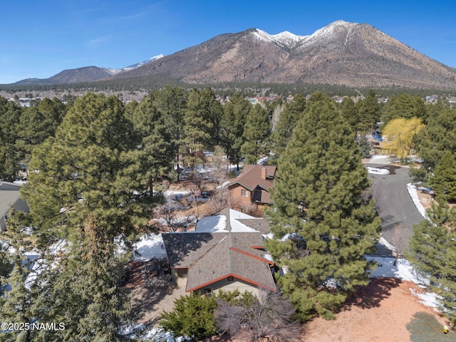 birds eye view of property featuring a mountain view