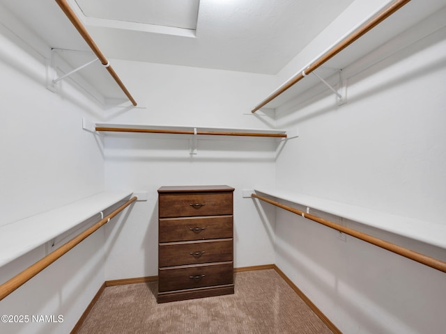 walk in closet with light colored carpet