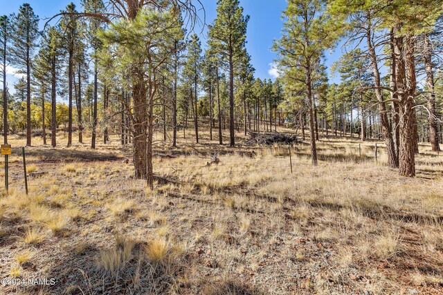 14638 E Keith Dr, Parks, AZ 86018 - photo 4