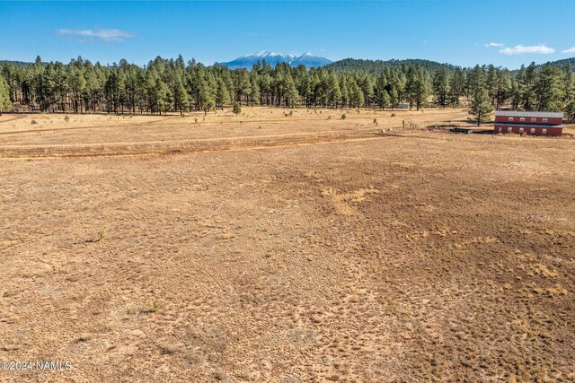 14638 E Keith Dr, Parks, AZ 86018 - photo 12