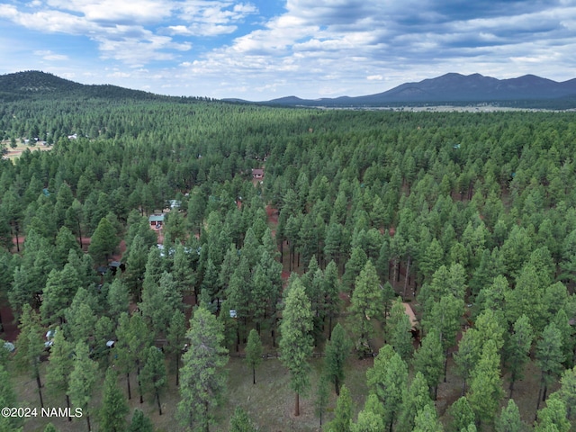 7300 E Long Bow Dr, Williams, AZ 86046 - photo 38