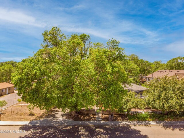 2021 N 3rd St, Flagstaff, AZ 86004 - photo 43