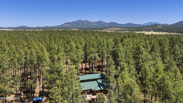 7850 E Knighthood Ln, Williams, AZ 86046 - photo 47