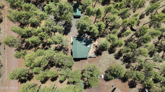7850 E Knighthood Ln, Williams, AZ 86046 - photo 50