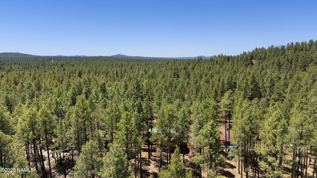 7850 E Knighthood Ln, Williams, AZ 86046 - photo 41