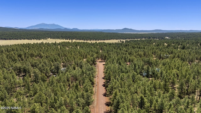 7850 E Knighthood Ln, Williams, AZ 86046 - photo 49