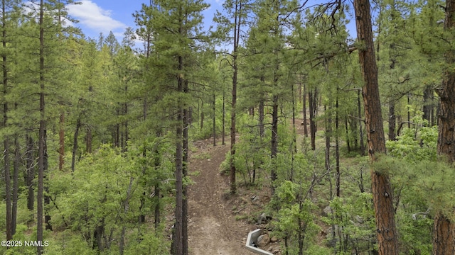 1430 E Puma Pl Unit E, Munds Park, AZ 86017 - photo 8