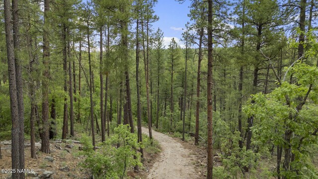 1430 E Puma Pl Unit E, Munds Park, AZ 86017 - photo 20