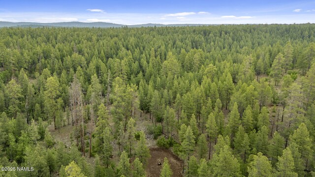 1430 E Puma Pl Unit E, Munds Park, AZ 86017 - photo 10