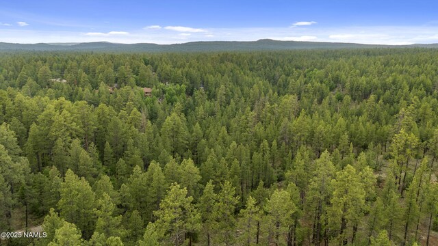 1430 E Puma Pl Unit E, Munds Park, AZ 86017 - photo 16