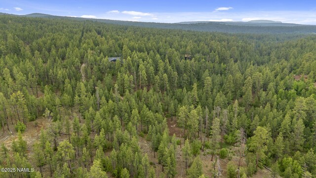 1430 E Puma Pl Unit E, Munds Park, AZ 86017 - photo 15