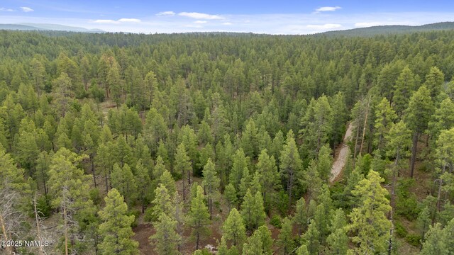 1430 E Puma Pl Unit E, Munds Park, AZ 86017 - photo 13