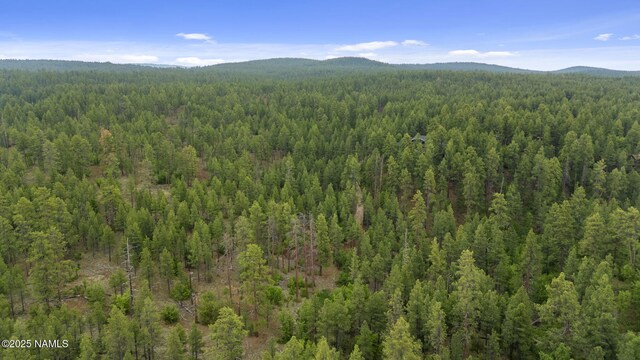 1430 E Puma Pl Unit E, Munds Park, AZ 86017 - photo 14