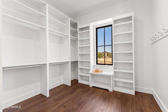1031 Redwall Way, Williams, AZ 86046 - walk in closet featuring dark wood-style flooring