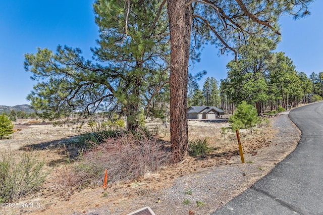 1031 Redwall Way, Williams, AZ 86046 - view of street