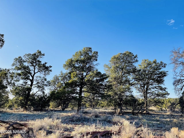 5390 N Windy Walk Way, Williams AZ, 86046 land for sale