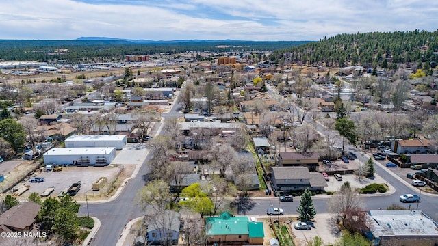 1729 N E St, Flagstaff, AZ 86004 - photo 52