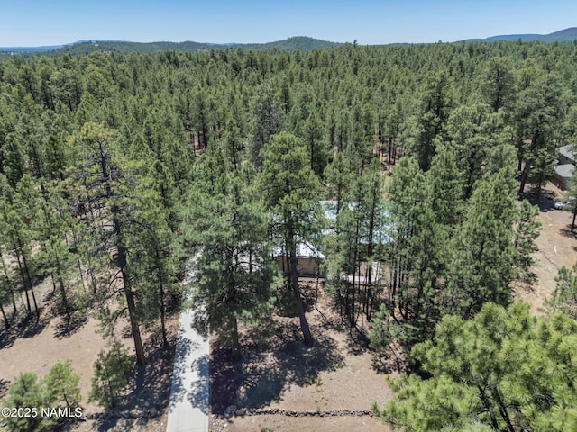 3548 W Kiltie Loop, Flagstaff, AZ 86005 - photo 40