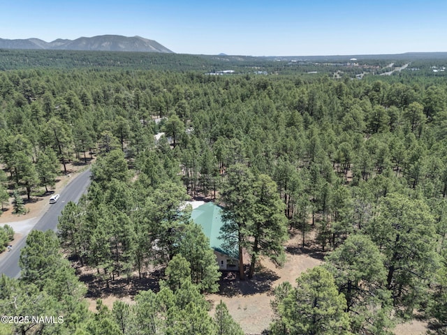 3548 W Kiltie Loop, Flagstaff, AZ 86005 - photo 42