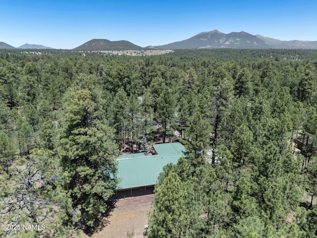 3548 W Kiltie Loop, Flagstaff, AZ 86005 - photo 41