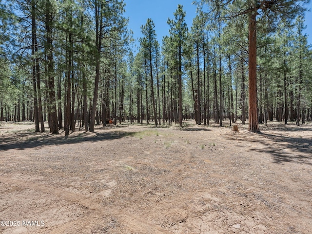 3548 W Kiltie Loop, Flagstaff, AZ 86005 - photo 39