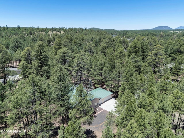 3548 W Kiltie Loop, Flagstaff, AZ 86005 - photo 43
