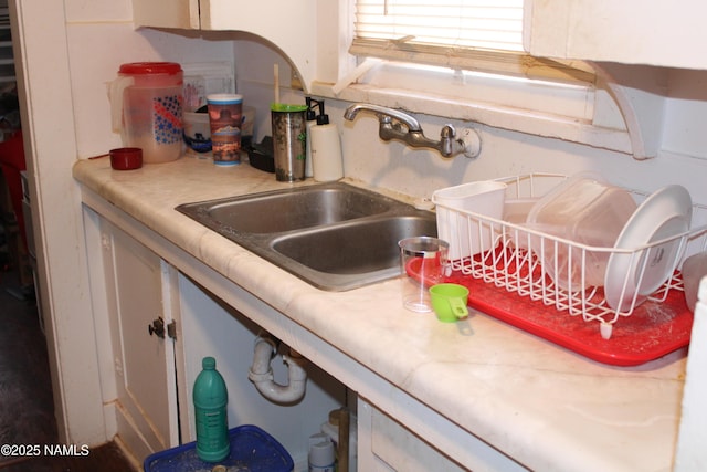 interior details with light countertops and a sink