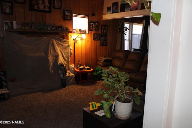 living area with wood walls and carpet