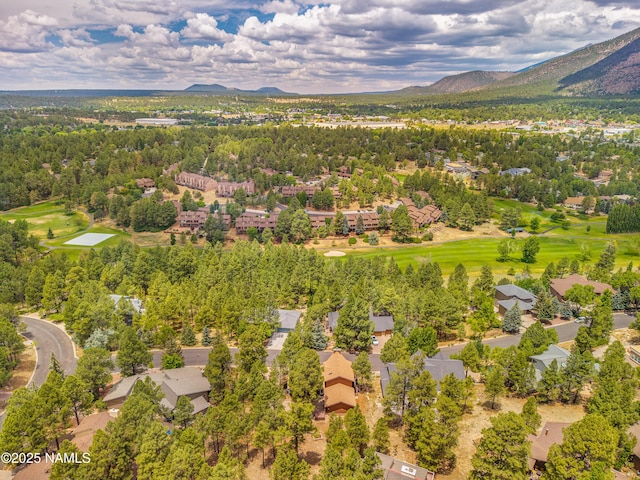 2355 N Broken Circle Rd, Flagstaff, AZ 86004 - photo 64