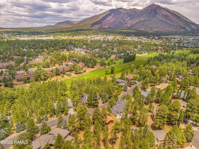 2355 N Broken Circle Rd, Flagstaff, AZ 86004 - photo 25