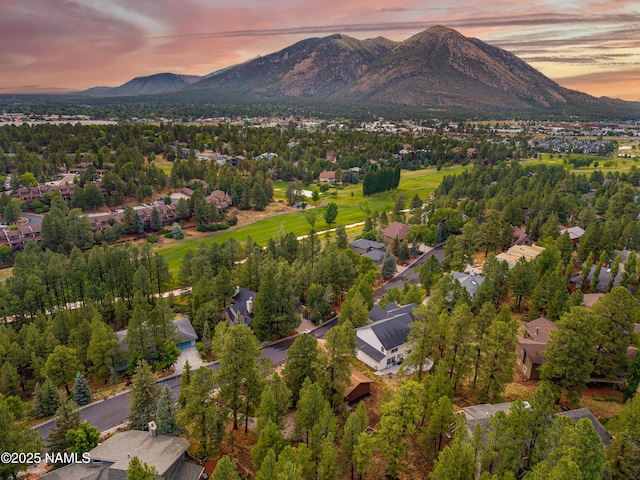 2355 N Broken Circle Rd, Flagstaff, AZ 86004 - photo 19