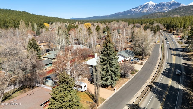 1707 N Fort Valley Rd, Flagstaff, AZ 86001 - aerial view featuring a forest view and a mountain view