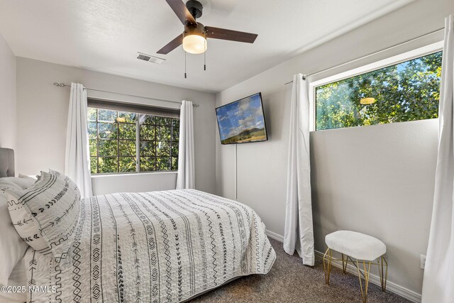 2493 S Hibiscus Ln, Flagstaff, AZ 86001 - photo 10