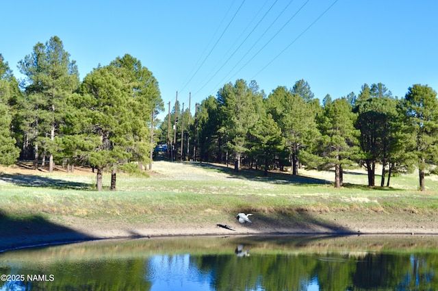 LOTB1575 Pine Meadow Dr, Williams, AZ 86046