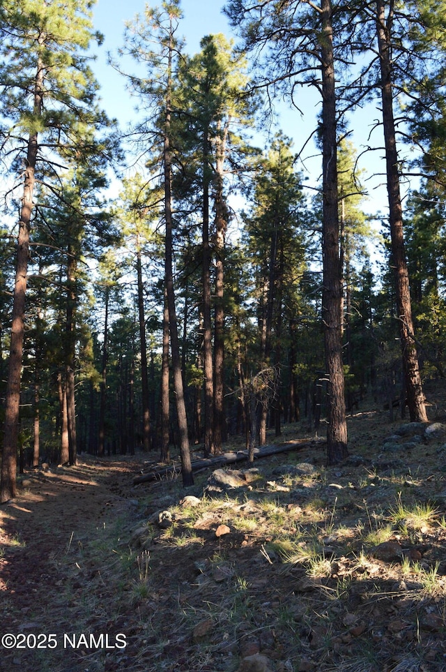 LOTB1575 Pine Meadow Dr, Williams, AZ 86046
