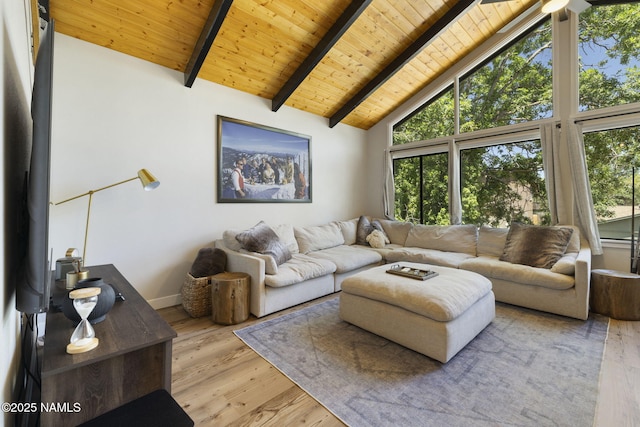 3907 N Swiss Rd, Flagstaff, AZ 86004 - photo 21