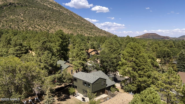 3907 N Swiss Rd, Flagstaff, AZ 86004 - photo 41