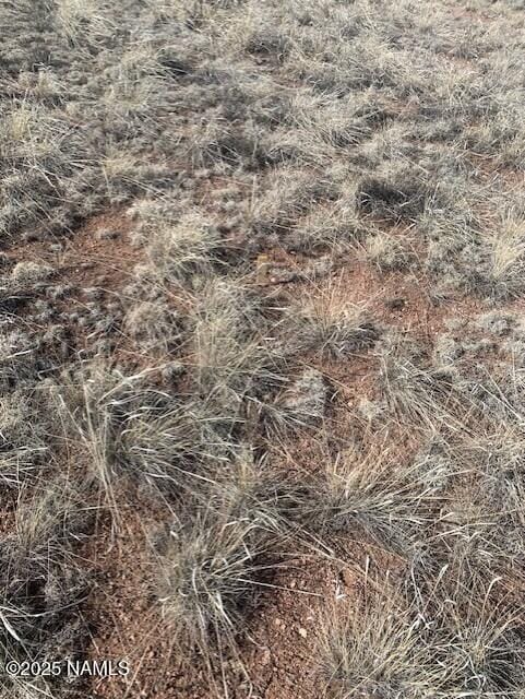 790 S Wyandotte Rd, Williams, AZ 86046 - photo 3