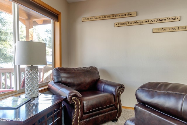 385 E Hillside Dr, Munds Park, AZ 86017 - photo 26