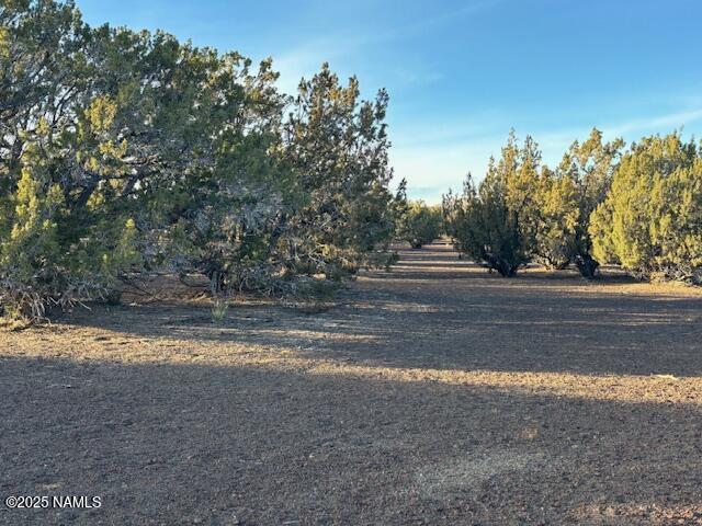 303-23-020 Alpine Rnch, Flagstaff AZ, 86004 land for sale